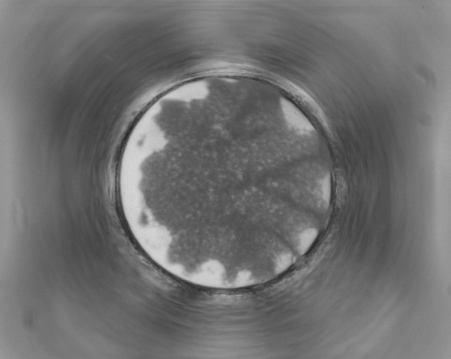 X0000110701419200907241116