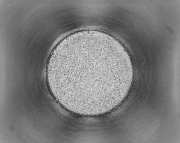 X0000110701420200907241116