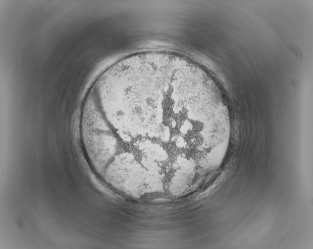 X0000110701421200907241116