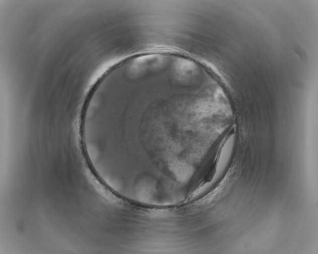 X0000110701422200907241116