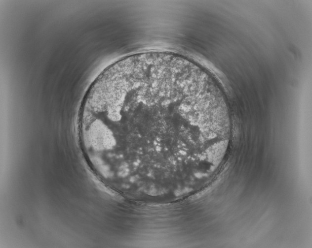 X0000110701423200907241116