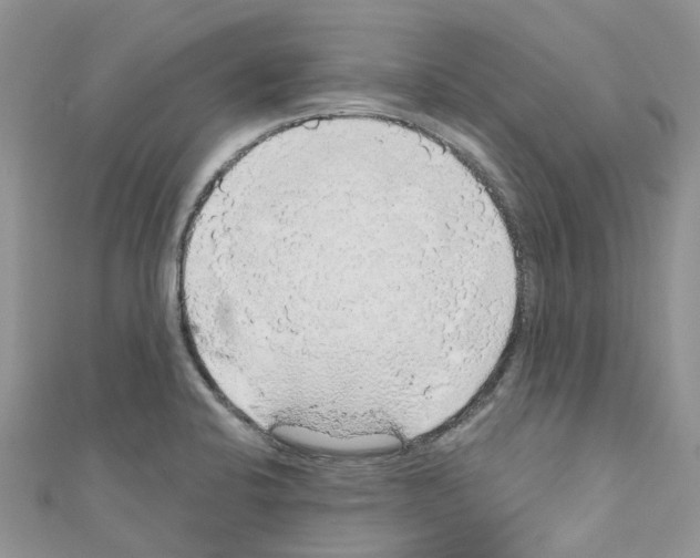 X0000110701424200907241116