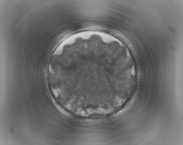 X0000110701425200907241116