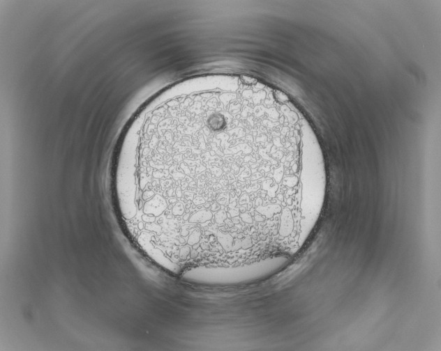 X0000110701426200907241116