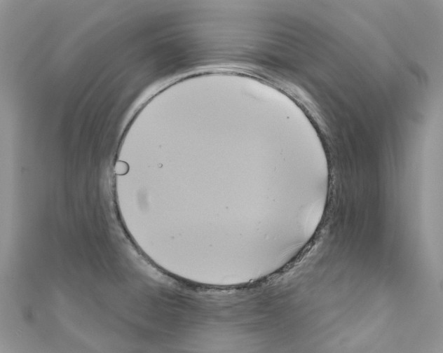 X0000110701428200907241116