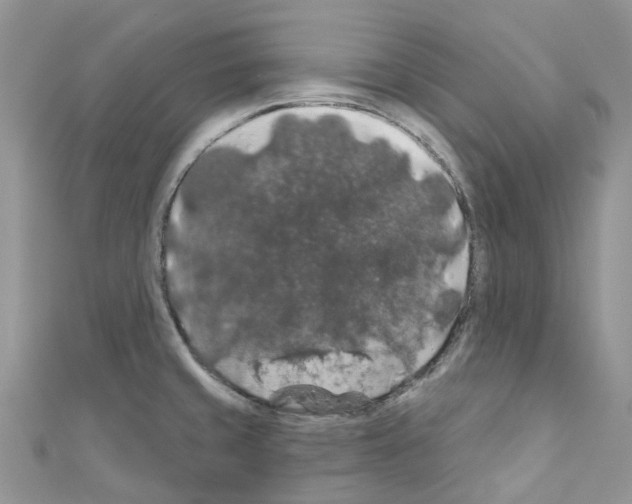X0000110701429200907241116