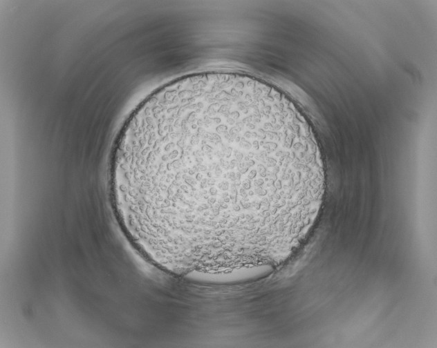 X0000110701430200907241116