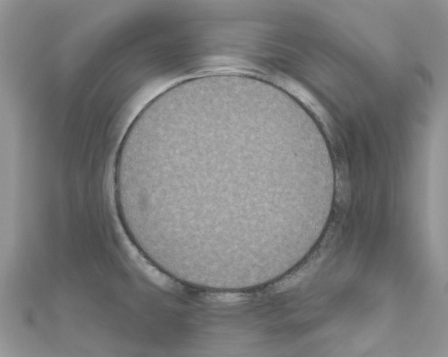 X0000110701431200907241116