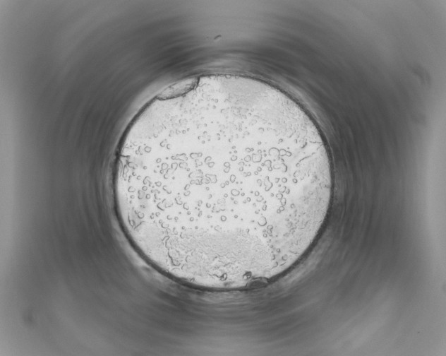 X0000110701434200907241116