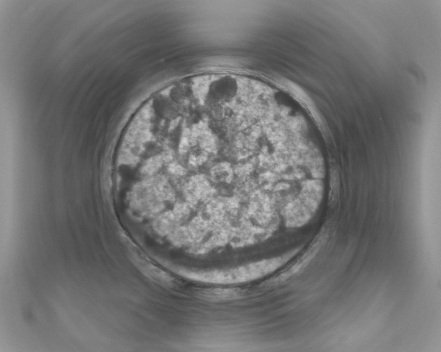 X0000110701435200907241116