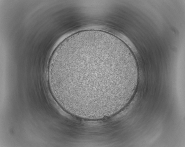 X0000110701436200907241116