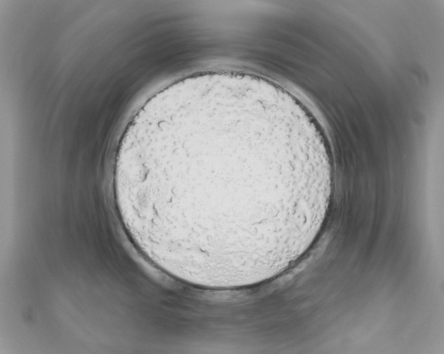 X0000110701437200907241116