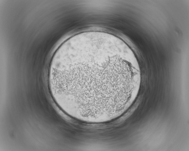 X0000110701438200907241116