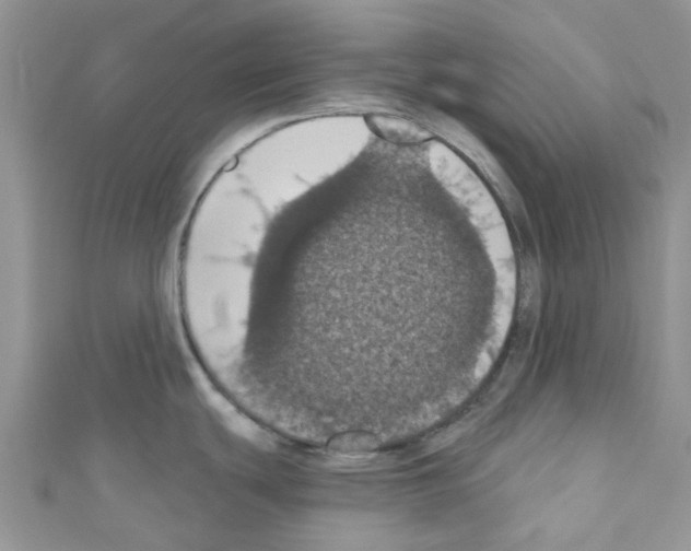 X0000110701439200907241116