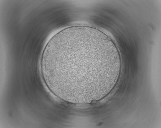 X0000110701440200907241116