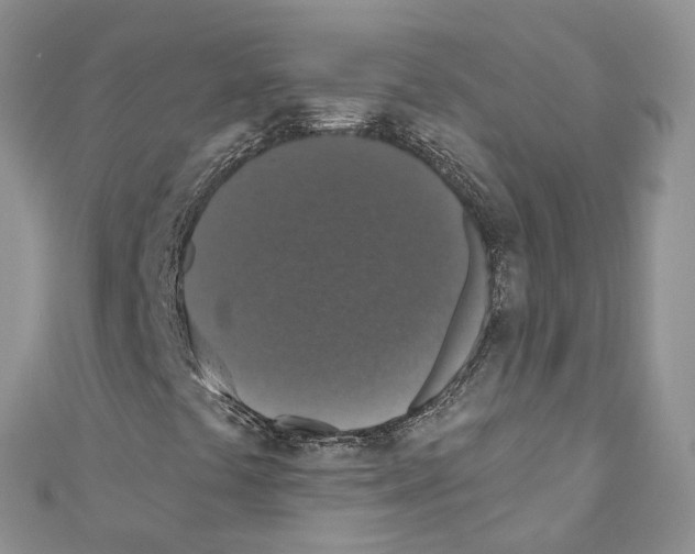 X0000110701441200907241115