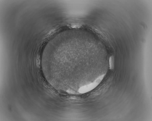 X0000110701443200907241115