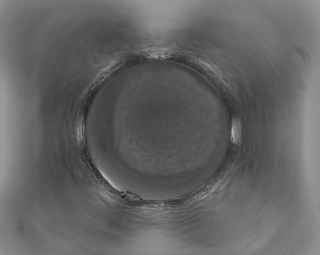 X0000110701444200907241115