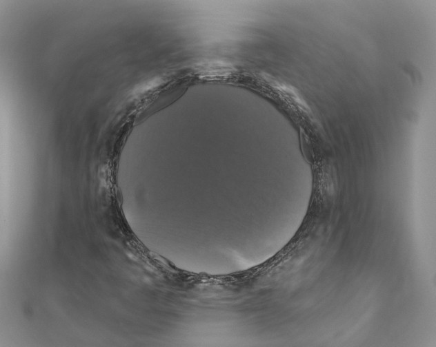 X0000110701445200907241115