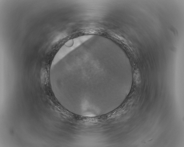 X0000110701446200907241115