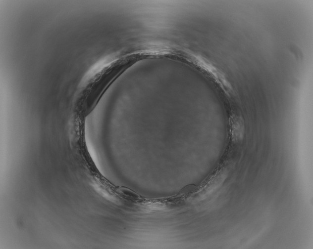 X0000110701448200907241115
