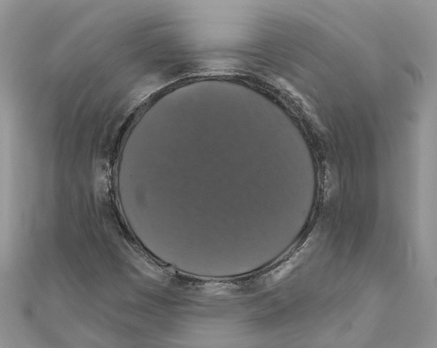 X0000110701449200907241115