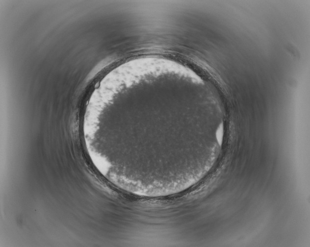X0000110701450200907241115