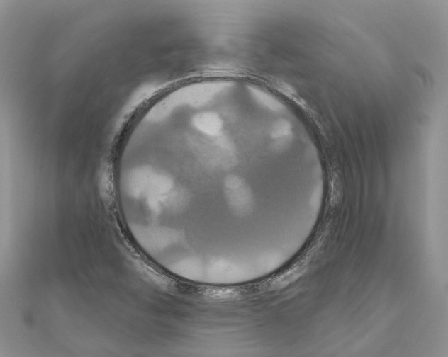 X0000110701454200907241115