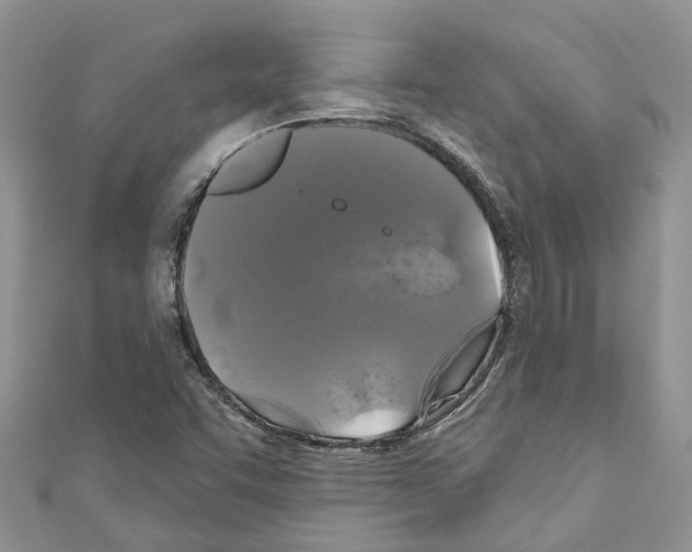 X0000110701455200907241115
