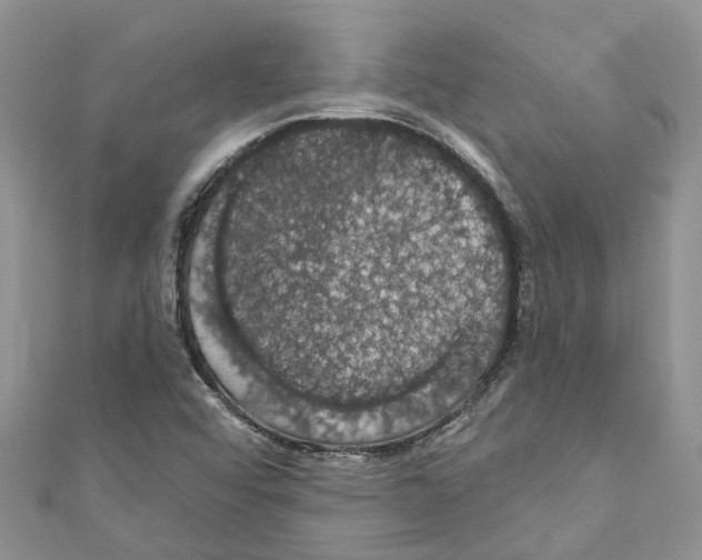 X0000110701456200907241115