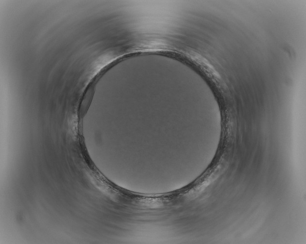 X0000110701457200907241115