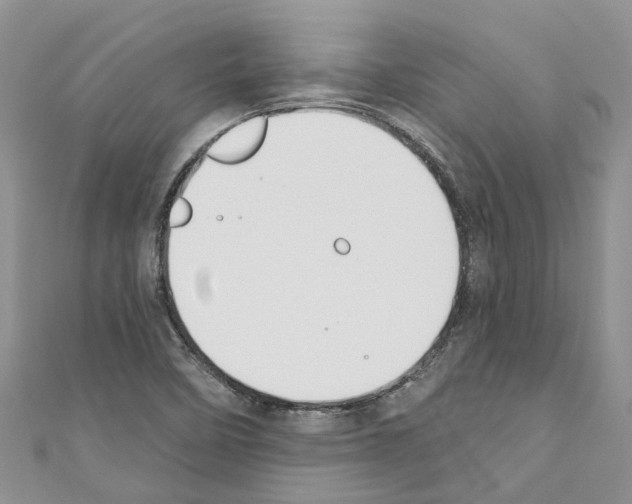 X0000110701458200907241115