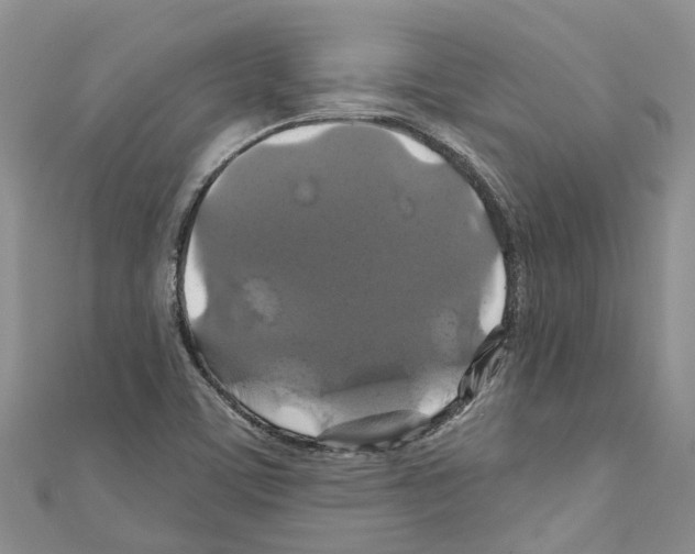 X0000110701459200907241115