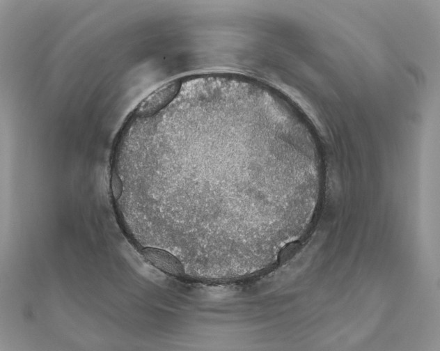 X0000110701460200907241115