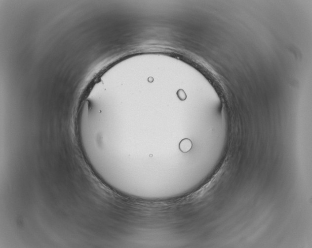 X0000110701461200907241115