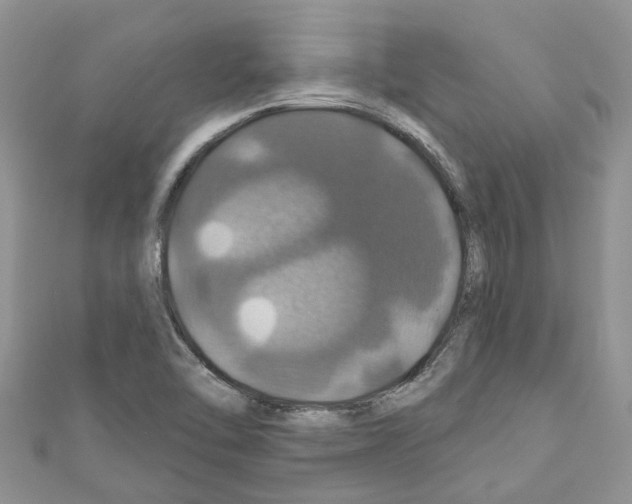 X0000110701462200907241115
