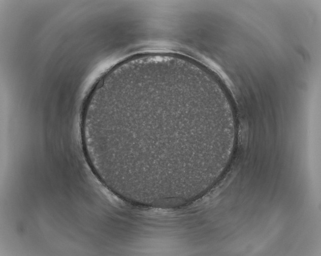 X0000110701464200907241115