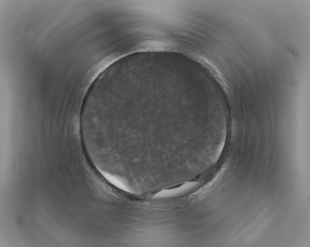 X0000110701465200907241115