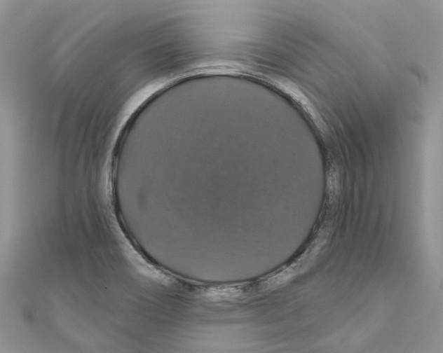 X0000110701466200907241115