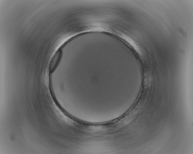 X0000110701468200907241115