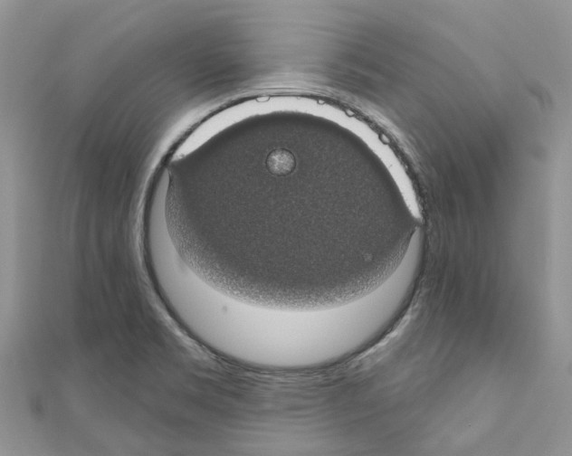 X0000110701469200907241115