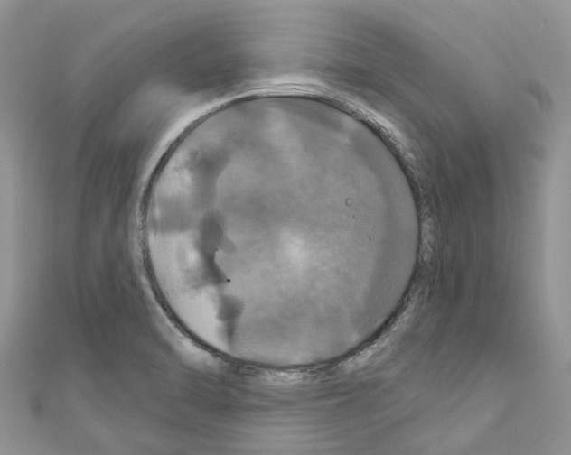 X0000110701470200907241115