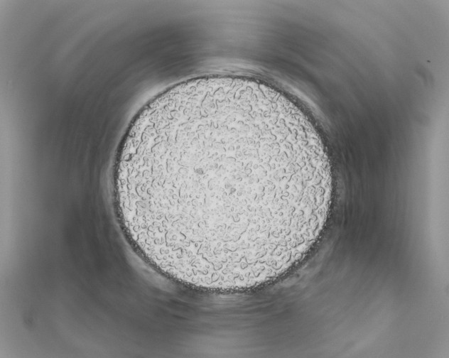 X0000110701471200907241115