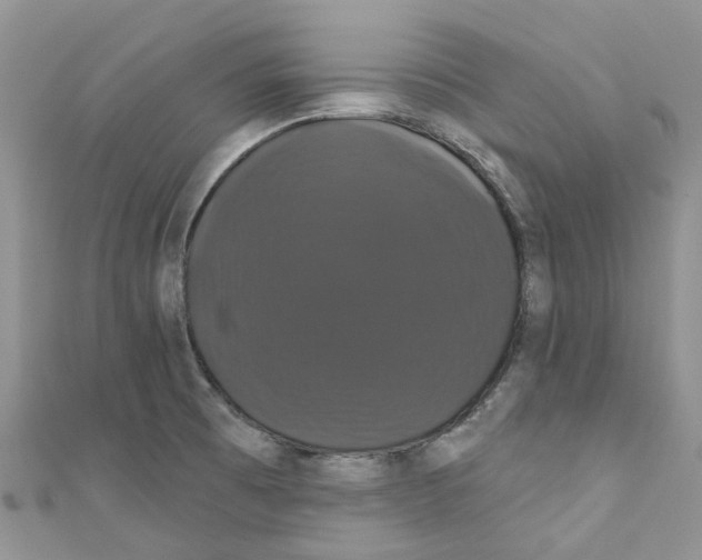 X0000110701473200907241115