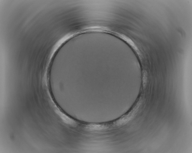 X0000110701474200907241115