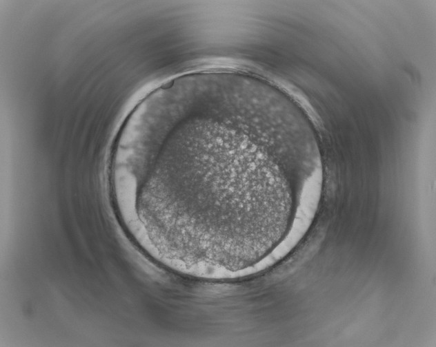 X0000110701475200907241115