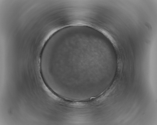 X0000110701476200907241115
