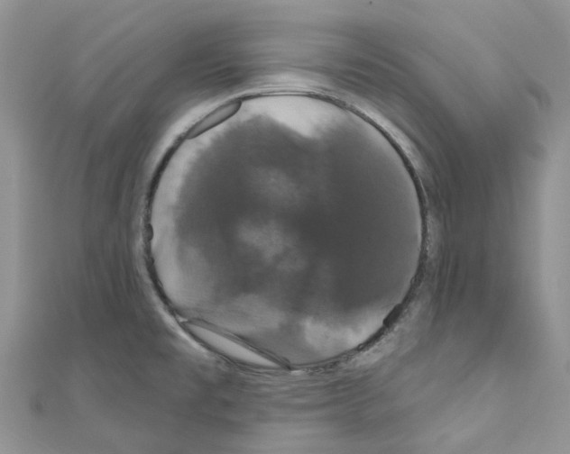 X0000110701477200907241115