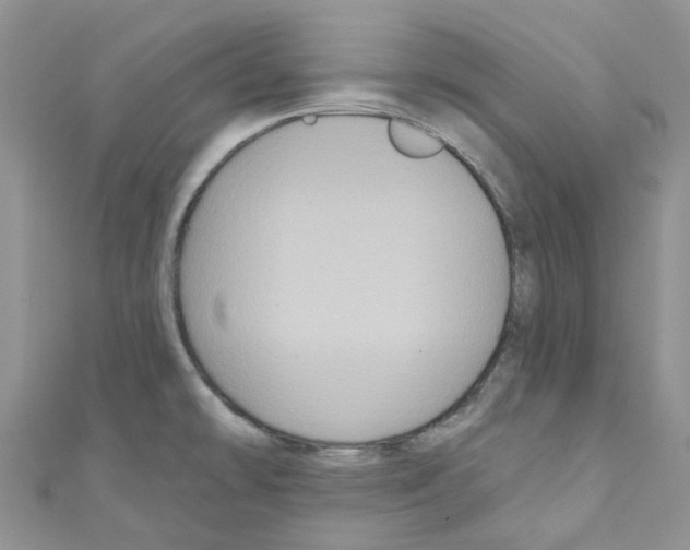 X0000110701478200907241115