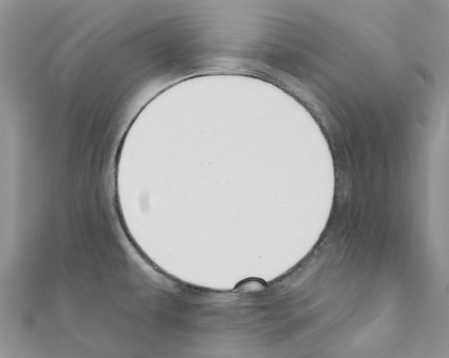 X0000110701479200907241115